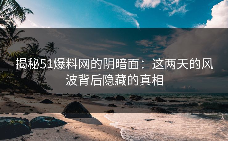 揭秘51爆料网的阴暗面：这两天的风波背后隐藏的真相