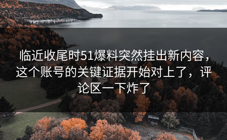 临近收尾时51爆料突然挂出新内容，这个账号的关键证据开始对上了，评论区一下炸了