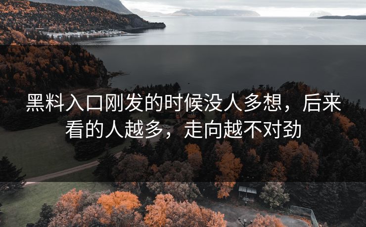 黑料入口刚发的时候没人多想，后来看的人越多，走向越不对劲