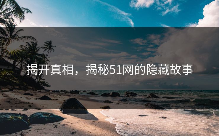 揭开真相，揭秘51网的隐藏故事