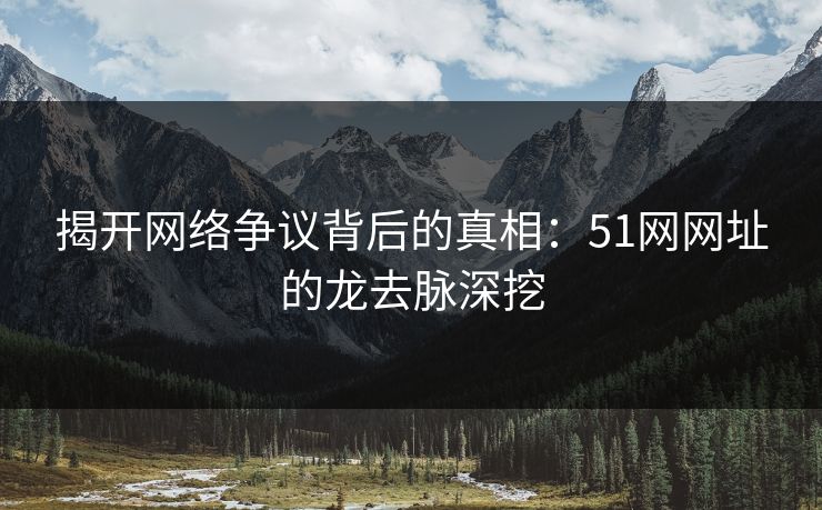 揭开网络争议背后的真相:51网网址的龙去脉深挖 揭开网络争议背后的真相:51网网址的龙去脉深挖