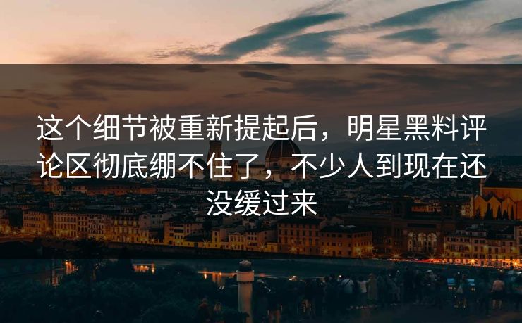 这个细节被重新提起后,明星黑料评论区彻底绷不住了,不少人到现在还没缓过来 这个细节被重新提起后,明星黑料评论区彻底绷不住了,不少人到现在还没缓过来